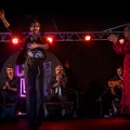flamenco (69)